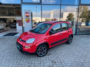 FIAT-Panda-10 Hybrid City Life+Parksensoren,Pojazdy używane
