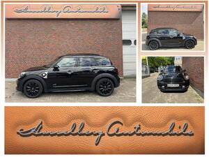 MINI-Cooper SE Countryman-All4 Leder 18 Zoll Keyless UJ-Rückleuchten uvm,Pojazdy używane