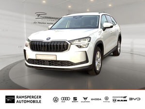 SKODA-Kodiaq-20 TDI DSG Selection ACC LED Navi Kamera,Used vehicle