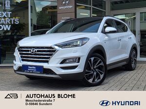 HYUNDAI-TUCSON-20 CRDi A/T 4WD Premium AHK / Allwetterreifen / ACC / Navi / Voll-LED / Totwinkel,Begangnade