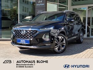 HYUNDAI-SANTA FE-22 CRDi 8-AT 4WD Premium / Winterräder / Pano / 360° / Memory / Leder / KRELL,Begangnade