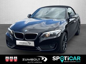 BMW-218-i Cabrio 2er - 218i +SHZ Kamera CarPlay DAB LMFelgen Navi+,Gebrauchtwagen