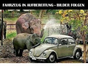 VW