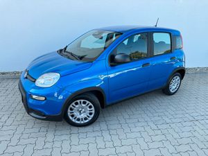 FIAT-Panda-10 Hybrid+Komfortpaket+5Sitz+LED,Подержанный автомобиль