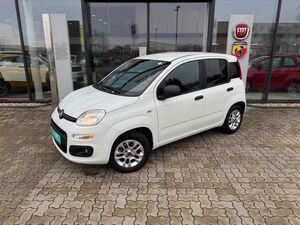 FIAT-Panda-12 Easy Sondermodell More - Viele Extras,Pojazdy używane