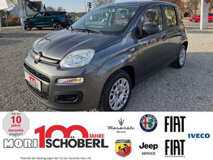 FIAT-Panda-Easy 1,2 8V,Véhicule accidenté