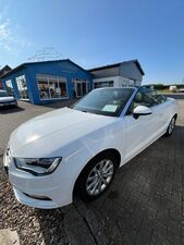 AUDI-A3-Cabriolet attraction ultra/Leder/Akustik-Verd,Véhicule d'occasion