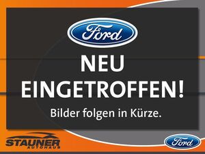 FORD-Tourneo Custom-20 EcoBlue 320L1 Titanium X Navi,Auto usate