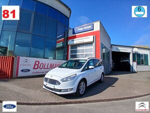 FORD-Galaxy-Business,Begangnade