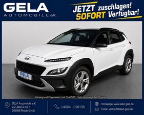 HYUNDAI-Kona-10 T-GDI Trend /Navi/17 Zoll/LPG-Autogas,Bruktbiler