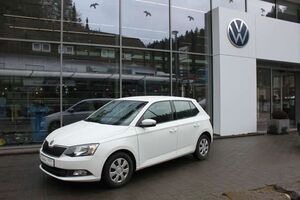 Skoda-Fabia-Ambition Green tec 10 Klima,GRA,NSW,Gebrauchtwagen