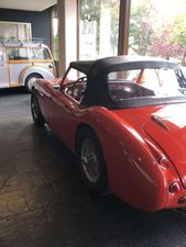 Austin-Healey