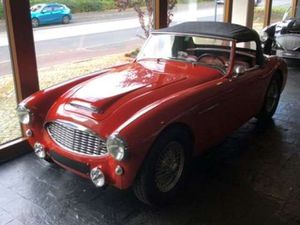Austin-Healey