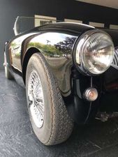 Austin-Healey