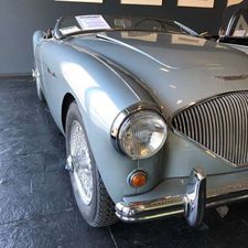 Austin-Healey-100-100/4  BN1,Oldtimer