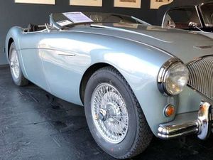 Austin-Healey