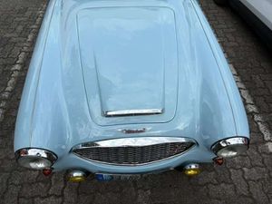 Austin-Healey