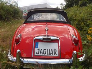 Jaguar