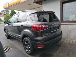 Ford-EcoSport-Cool,Подержанный автомобиль