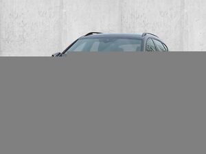 CUPRA-Formentor-15 TSI EU6d 18 Zoll Performance II Black/Silver d,Vehicule second-hand