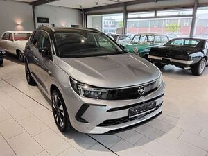 Opel-Grandland X-Grandland, Ultimate, alle Extras, sehr sparsam,Begangnade