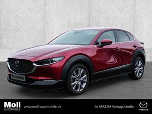 Mazda-CX-30-Selection 2WD HUD Navi Leder Memory Sitze Soundsys,Vehículo de ocasión