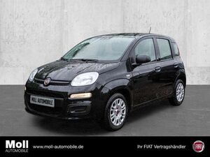 Fiat-Panda-Hybrid Klima Tagfahrlicht Radio ZV ABS Servo Airb,Gebrauchtwagen