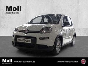Fiat-Panda-Mild Hybrid City Paket  Gelato Weiß,Bemutatóautó