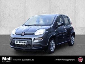 Fiat-Panda-DAB Berganfahrass Klima BT teilbRücksb eFH RDC R,Gebrauchtwagen