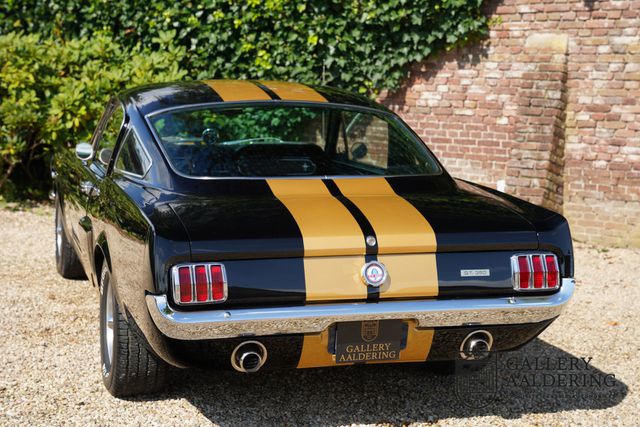 FORD Mustang Fastback Shelby GT 350H Clone, Fantastic