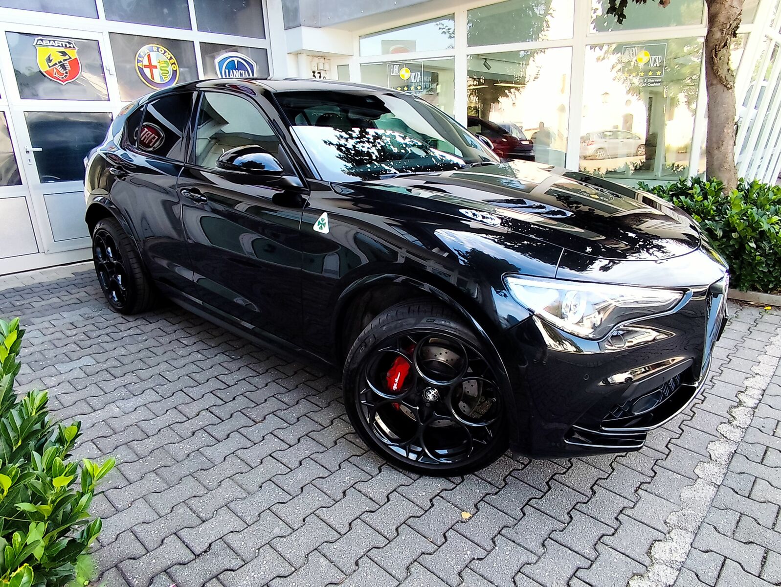 ALFA ROMEO Stelvio Quadrifoglio Q4 Ansicht 3 für Fahrzeugdetailseite