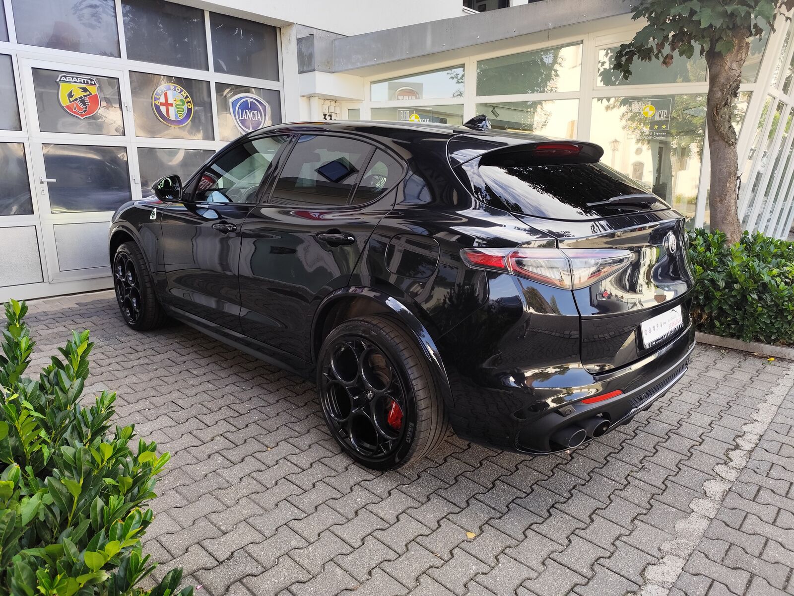 ALFA ROMEO Stelvio Quadrifoglio Q4 Ansicht 7 für Fahrzeugdetailseite