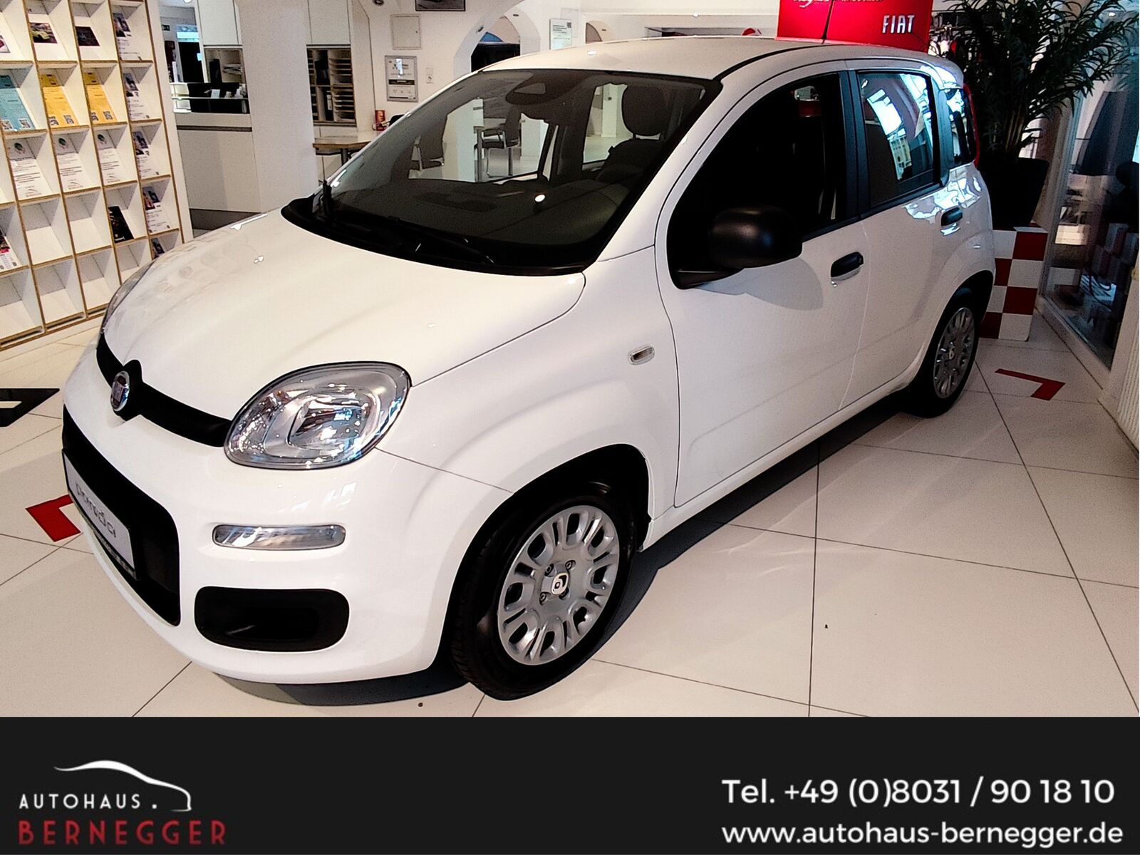 FIAT Pandina
