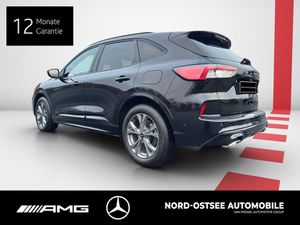 FORD KUGA 1.5 ST-LINE X  PANO SHZ