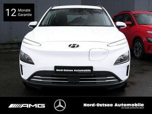 HYUNDAI KONA ELEKTRO SELECT 2WD KAMERA LHZ SHZ PDC DAB