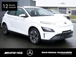 HYUNDAI KONA ELEKTRO SELECT 2WD KAMERA LHZ SHZ PDC DAB