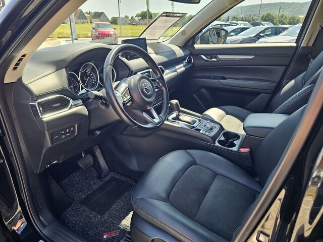 SKODA Kamiq 1.0 TSI Selection OPF DSG Ansicht 12 für Fahrzeugdetailseite