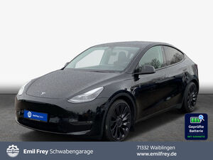 TESLA Model Y Performance Dual Motor AWD Model Y