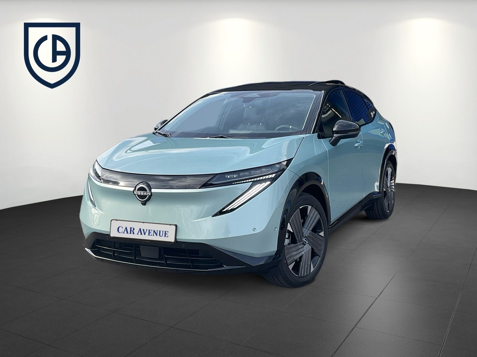 NISSAN Ariya Evolve Pack e-4orce