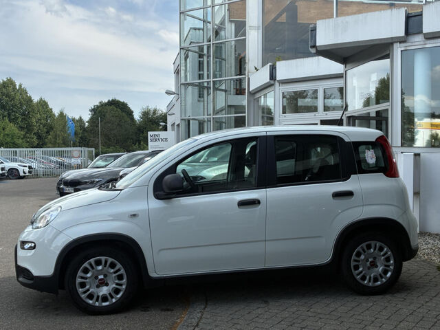 FIAT Panda Mild-Hybrid Base Bluetooth 24.999km el. Fenster Ansicht 5 für Fahrzeugdetailseite