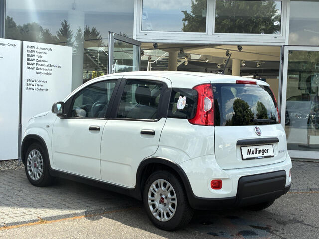 FIAT Panda Mild-Hybrid Base Bluetooth 24.999km el. Fenster Ansicht 6 für Fahrzeugdetailseite