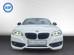 BMW 220i Cabrio AUT Advantage LED H&K NAVI SHZ PDC 220