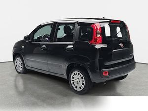 FIAT Panda 1.0 Mild Hybrid Pandina Icon (EURO 6e)