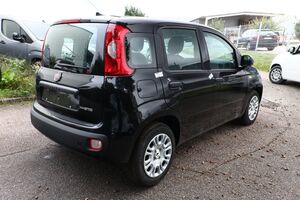 FIAT Panda MHEV 5-DAB 5-Sitzer PDC DigCo LaneA Temp