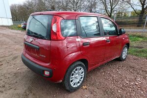 FIAT Panda MHEV 5-DAB 5-Sitzer PDC DigCo LaneA Temp