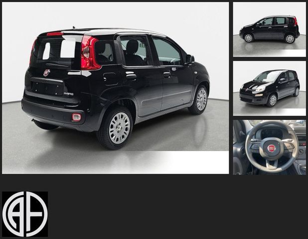 FIAT Panda 1.0 Mild Hybrid Pandina Icon (EURO 6e)