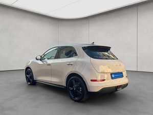 ORA Funky Cat 300 Pro Funky Cat