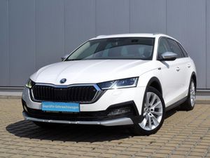 SKODA Octavia 2.0 TDI 4x4 DSG Scout AHK/MATRIX/NAVI/INFOTAIN+KOMFORT+TRANSPORT-PAKET/18-ZOLL/