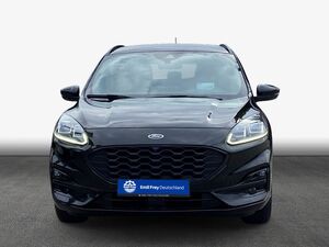 FORD Kuga 2.0 EcoBlue Hybrid ST-LINE X Kuga