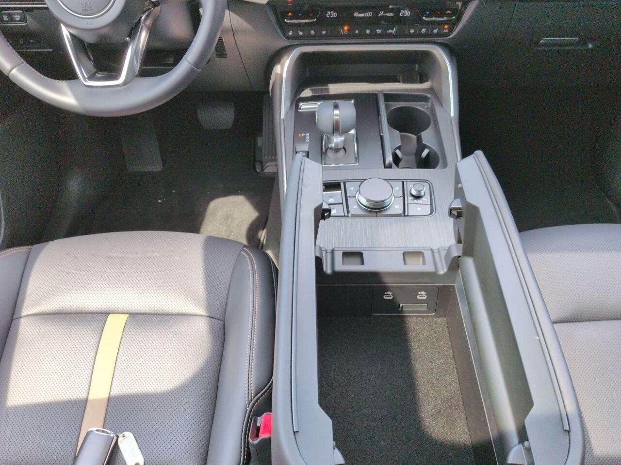 MAZDA CX--60 3.3 SKYACTIV-D 254PS AWD HOMURA Plus*BOSE* Ansicht 10 für Fahrzeugdetailseite